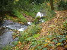 ��̒�����